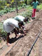 Farming