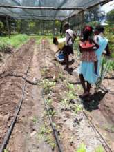 Farming
