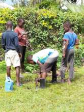 Tree nursery