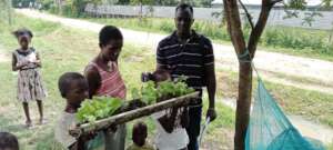 Fruits of their labor