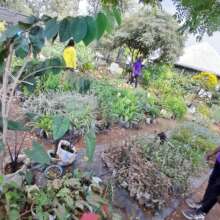 Children's farming