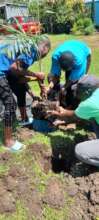 Tree planting day
