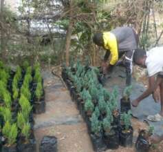 Nursery expansion