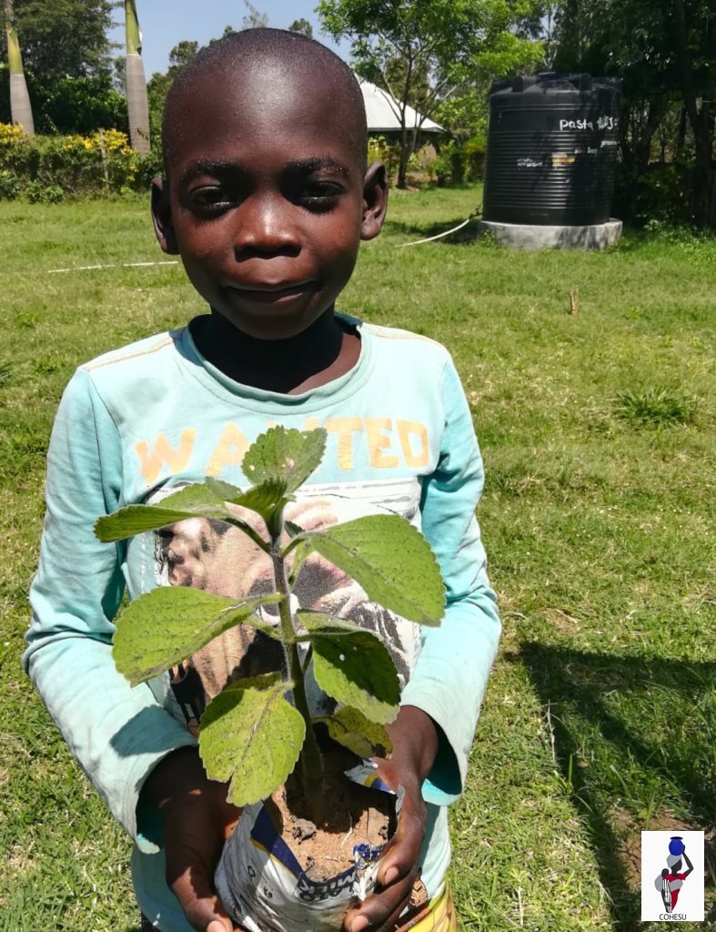 Taking care of his green space