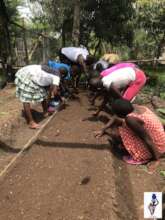 Learning how to create a kitchen garden
