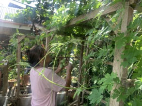Gardening is key