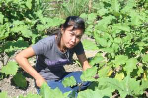 gardening in the home