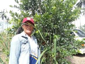 intercropping coconuts