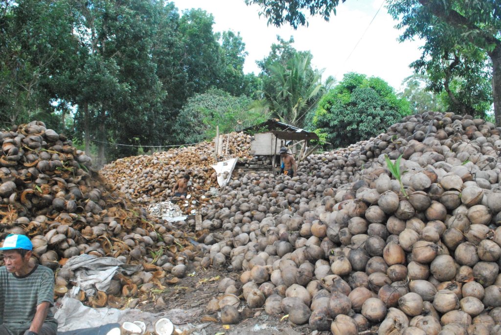 Coconut-based Women Entrepreneurship Initiative