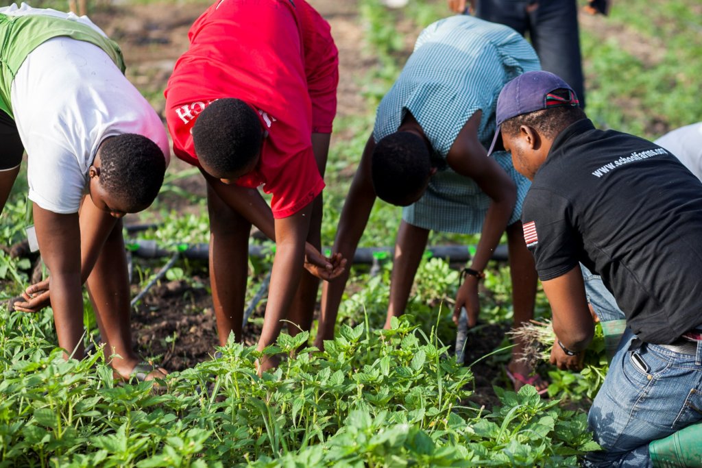 Help 30 rural farmers mentor 30 rural young people