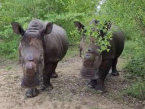 Lula and Khulula surrounded by lush greenery