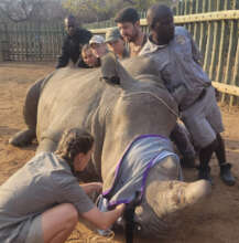 HESC curator Anya covering Esme's eyes