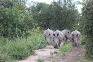 Khulula, Olivia, Lula and Nhlanhla