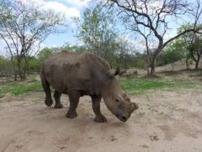 Rhino Nhlanhla at HESC