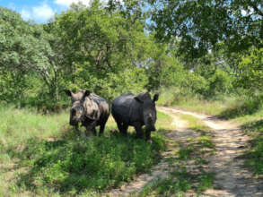 Lula and Khulula spotted next to the pathway