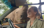 Big Rhinos Need Big Hearts Too