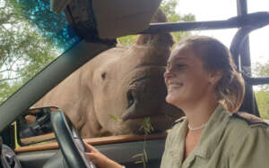 Big Rhinos Need Big Hearts Too