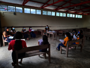 Pre-test surveys with some program participants