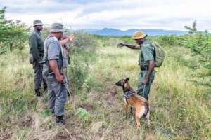 The Project Rhino K9-Unit, established in 2017