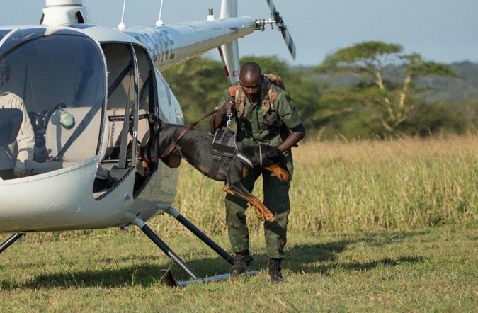 Project Rhino K9 Unit: Defending African Wildlife