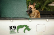 Project Rhino K9 Unit: Defending African Wildlife