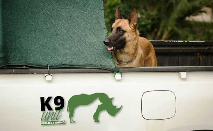 Project Rhino K9 Unit: Defending African Wildlife