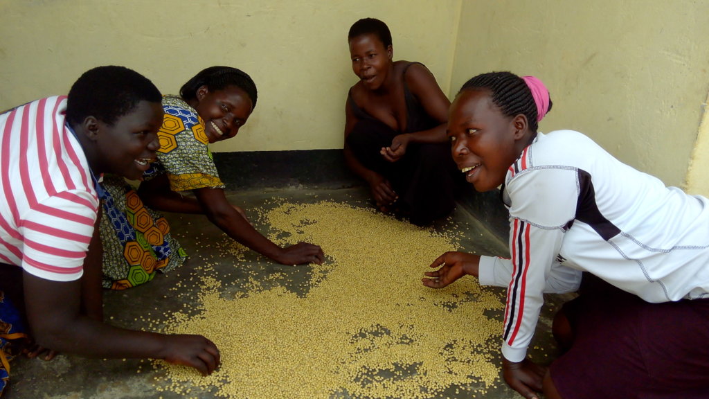 Improving lives of 500 rural farmers in N. Uganda