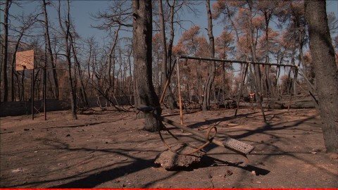 Attika wildfires 2018: Recovery support
