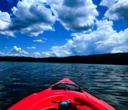 The view from our gorgeous Lake Myosotis this June