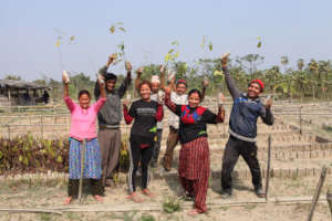 Employees of our Tree-Planting Partner