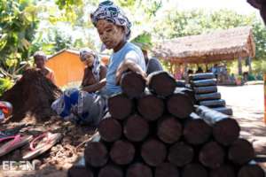 Employed villagers prepping for the saplings