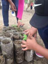 Students transplant baby trees at Planet Drum