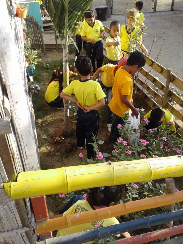 Create Environmental Education Program in Ecuador