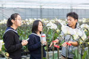Interviewing a farmer in Fukushima