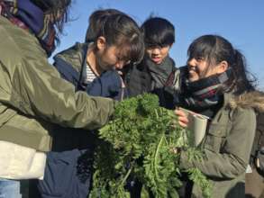 Talking about a vegetable Mr. Sakamoto grow