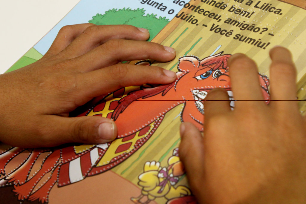 Help improve blind people's lives in Brazil