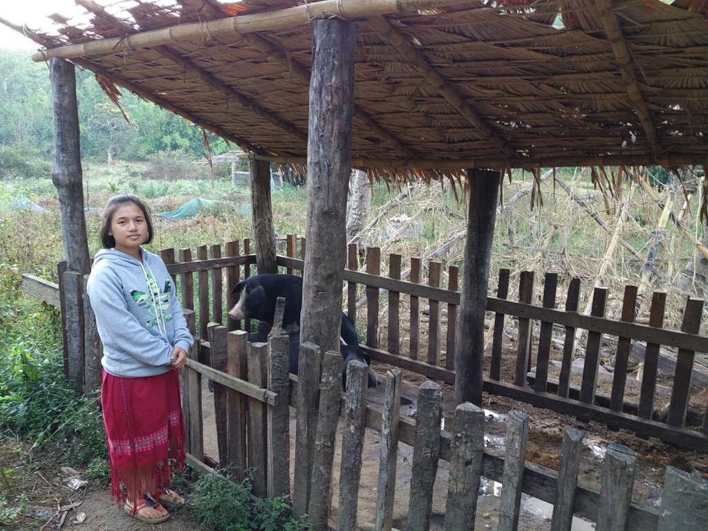 Biogas for Better Lives in Rural Thailand