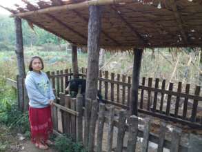 Biogas for Better Lives in Rural Thailand