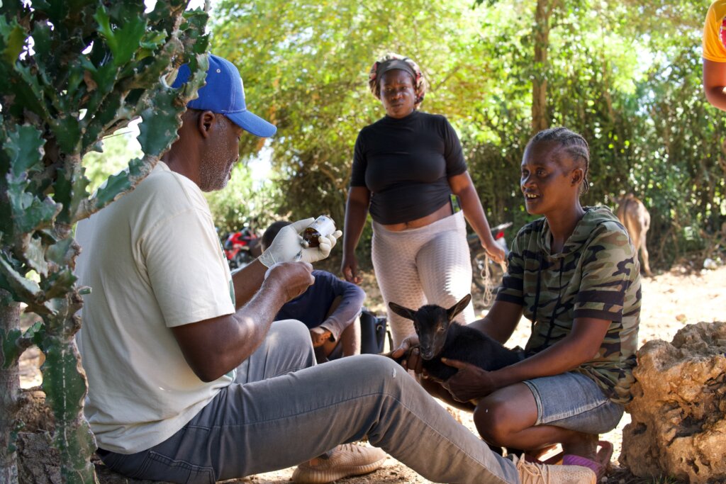 Community meet-up with the AAPLAG veterinarian.