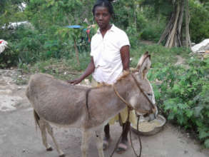 This quarter we distributed 26 donkeys to families
