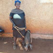 A program participant with the pig she selected.