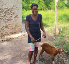 Families received 216 goats, 42 pigs, & 9 donkeys.