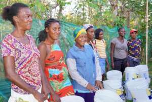 Families receive water filters.