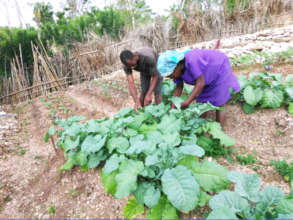 Garden Kits ensure food security for families.