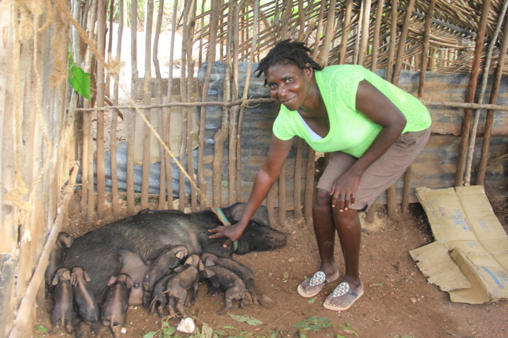 Help Haitian Families Rise From Poverty to Dignity