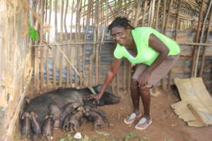 Families get livestock to raise to earn a living.