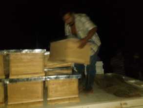 Late-night beehive delivery
