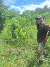 Don Carlos