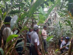 Learning Exchange - Agroforestry