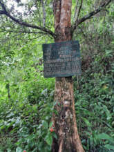 Signage as part of PROBOSQUE management plan
